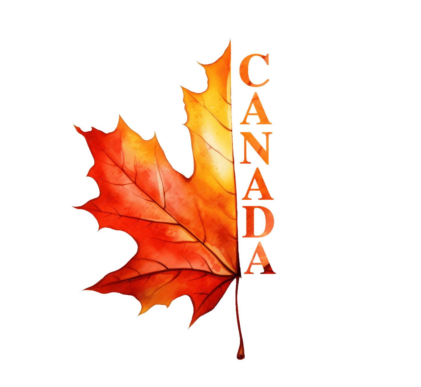 T-Shirt Canada